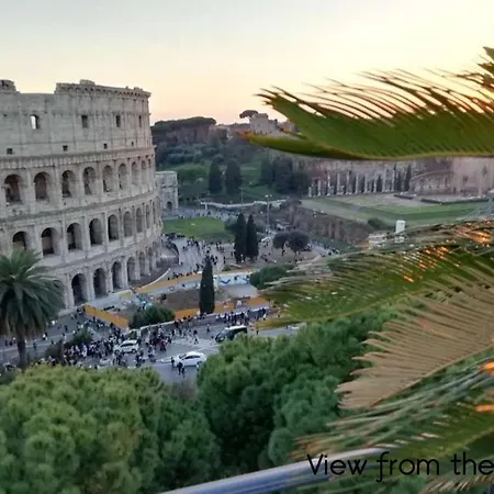 Colosseum Palace Star